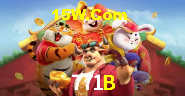 771B - Installation Guide